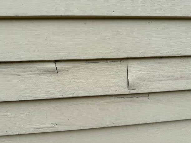 Best Property Management Cleanouts  in Reynoldsburg, OH